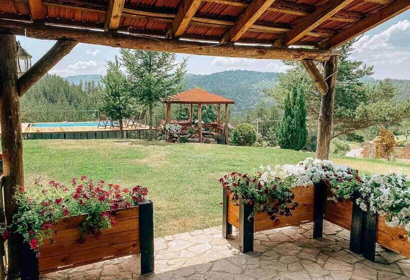 بنسيون Vila Ivan