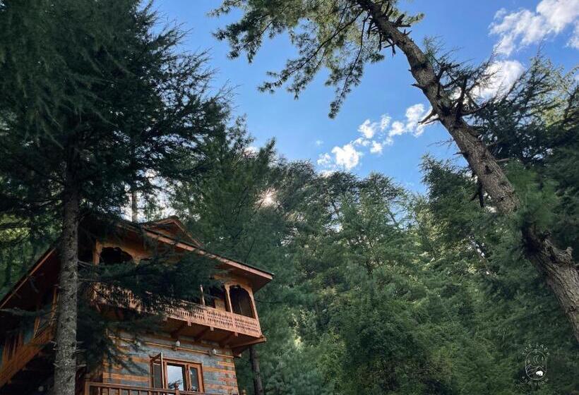 منتجع The Lazy And Slow