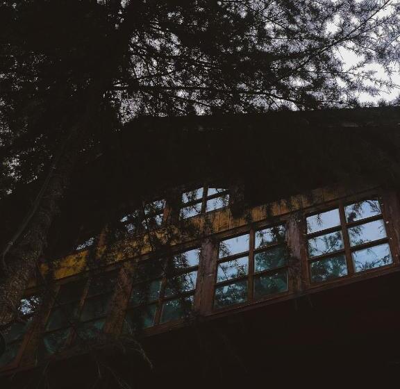 منتجع The Lazy And Slow