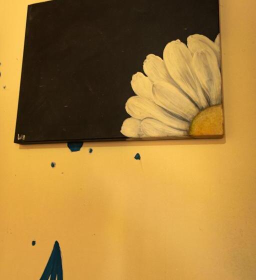 Acusi Hostel Camping