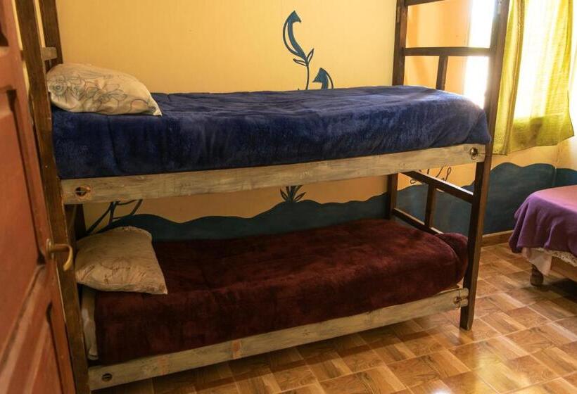 Acusi Hostel Camping