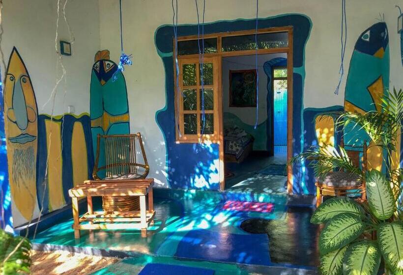 הוסטל A Place Of True Colors