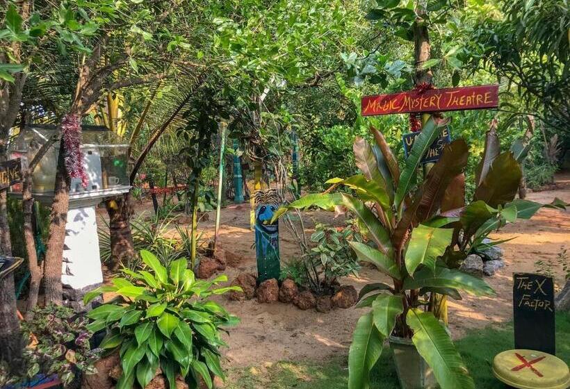 הוסטל A Place Of True Colors