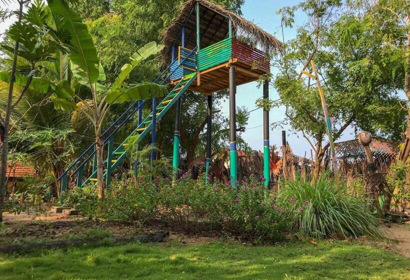 הוסטל A Place Of True Colors