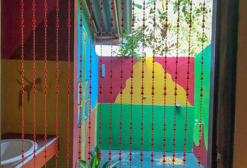 הוסטל A Place Of True Colors