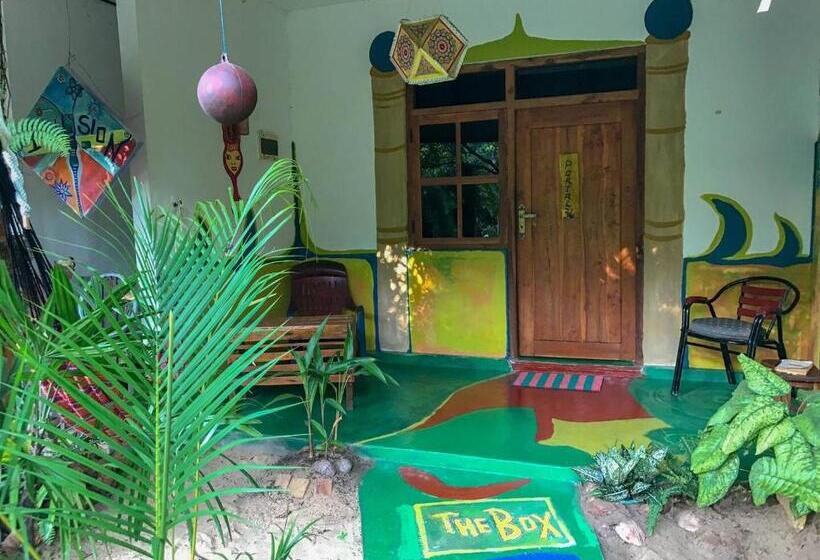 הוסטל A Place Of True Colors