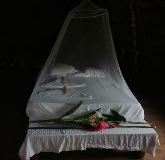 הוסטל Ditsowou Lodge & Tours