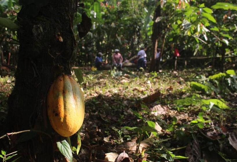 הוסטל Ditsowou Lodge & Tours