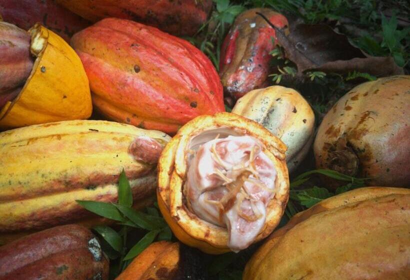 הוסטל Ditsowou Lodge & Tours