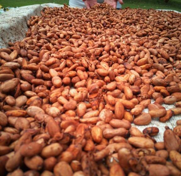 הוסטל Ditsowou Lodge & Tours