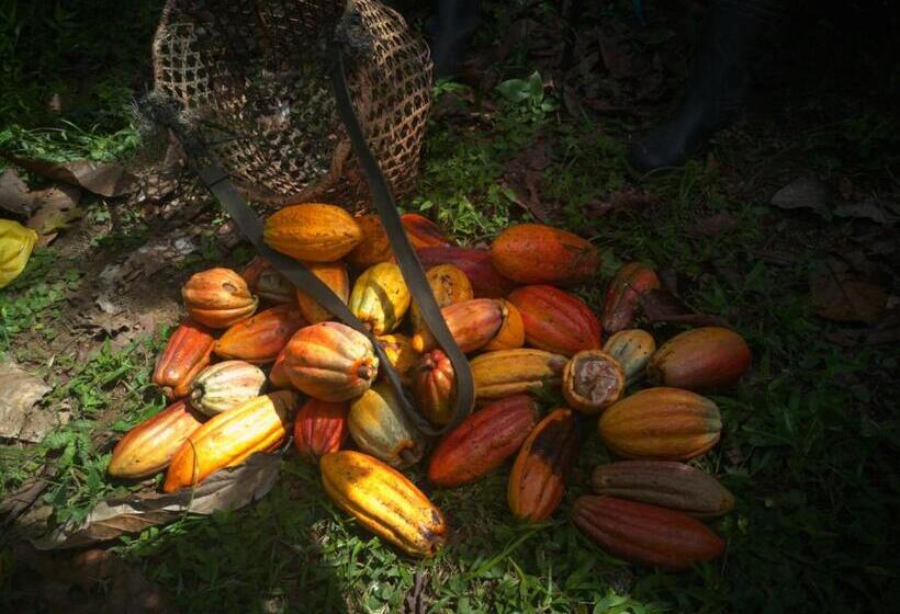 הוסטל Ditsowou Lodge & Tours