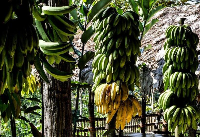 הוסטל Ditsowou Lodge & Tours