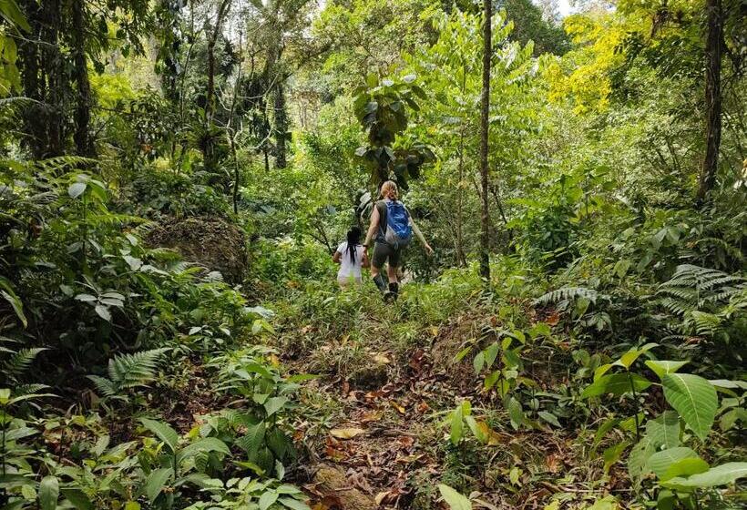 הוסטל Ditsowou Lodge & Tours