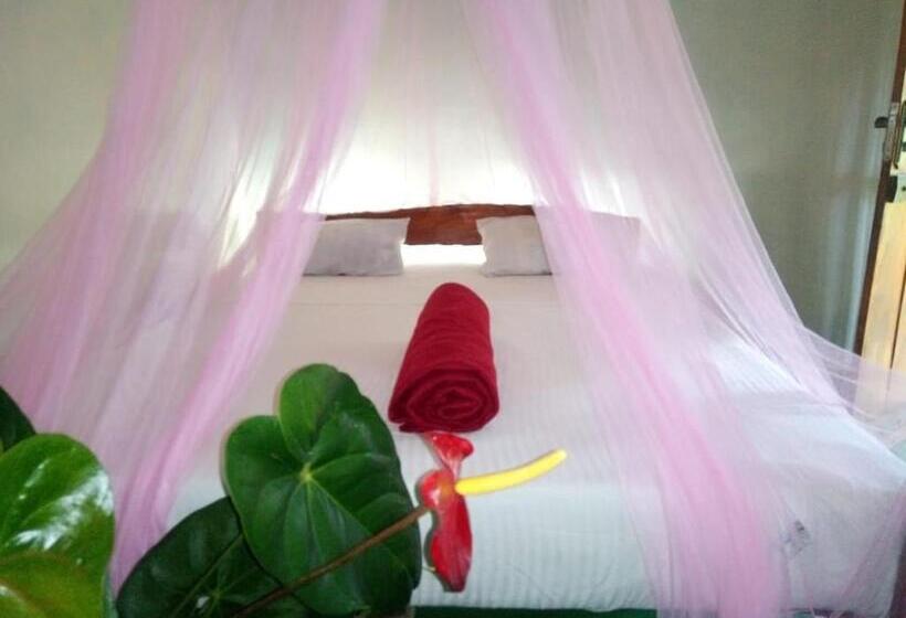 ベッドアンドブレックファースト Eiffin Moon Ella