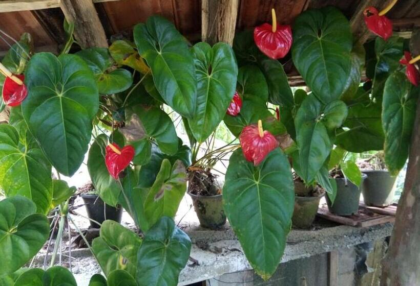 ベッドアンドブレックファースト Eiffin Moon Ella