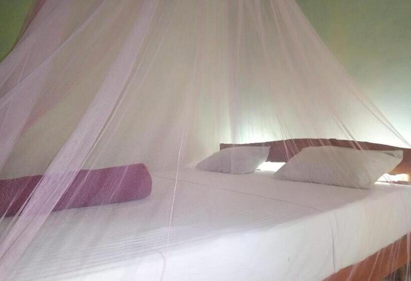 ベッドアンドブレックファースト Eiffin Moon Ella