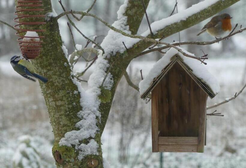 住宿加早餐 Reves De Baie Accueillant, Paisible, Vue Panoramique Exceptionnelle