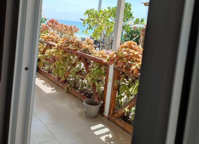 Bed and Breakfast Villa Luna Frente Al Mar