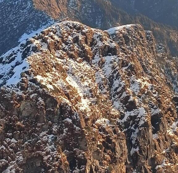 Chopta House Hotel And Restaurant