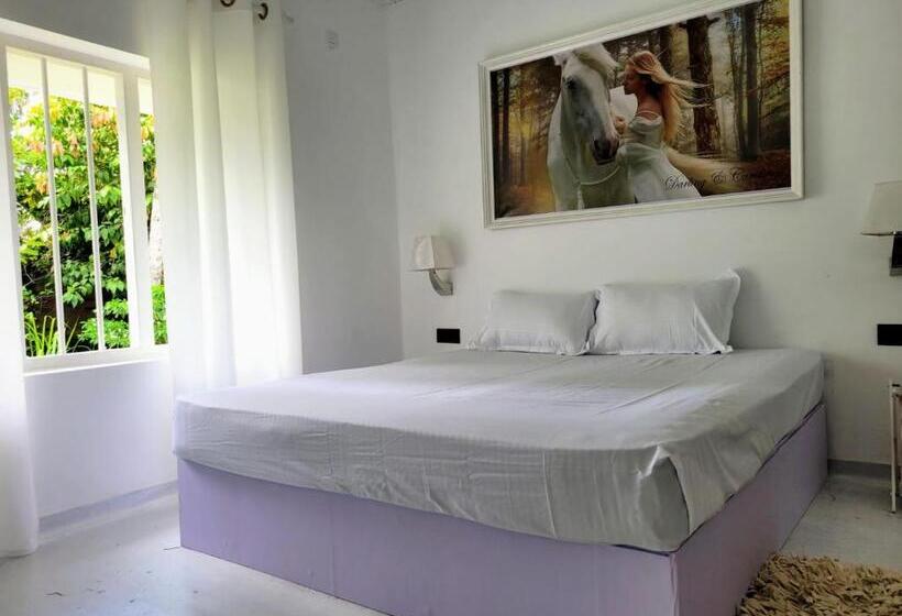 호텔 Darling & Caroling Villa