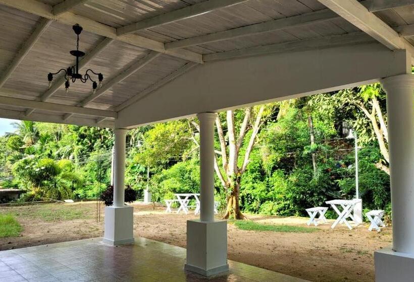 호텔 Darling & Caroling Villa