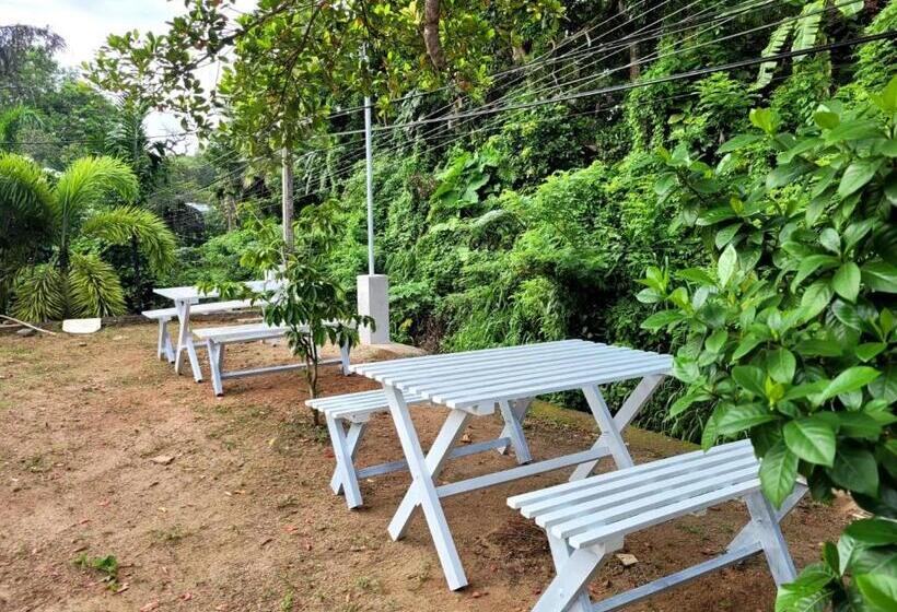 호텔 Darling & Caroling Villa