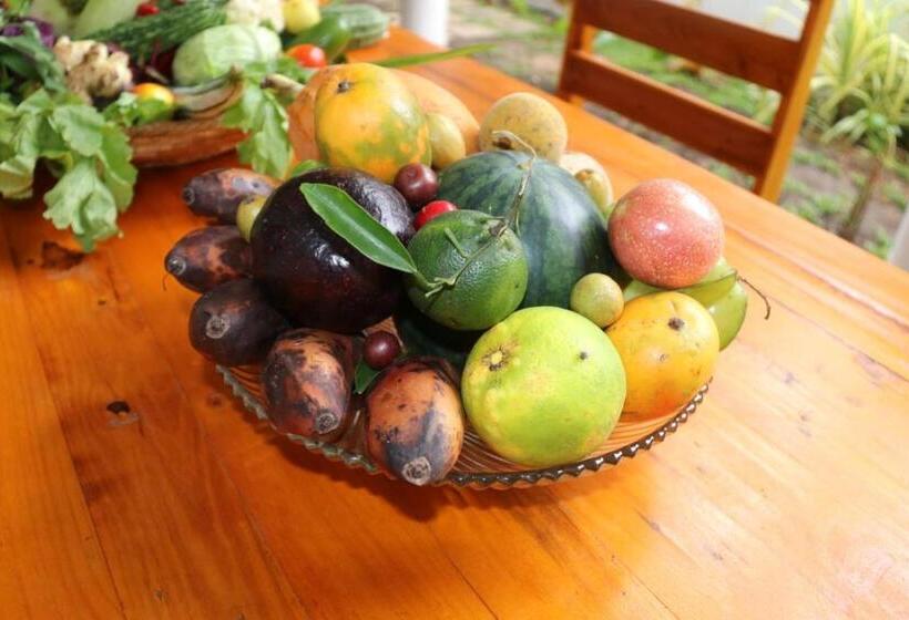 호텔 Dream S Tree Ayurveda Villa Ahungalla