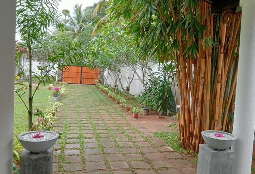 호텔 Dream S Tree Ayurveda Villa Ahungalla