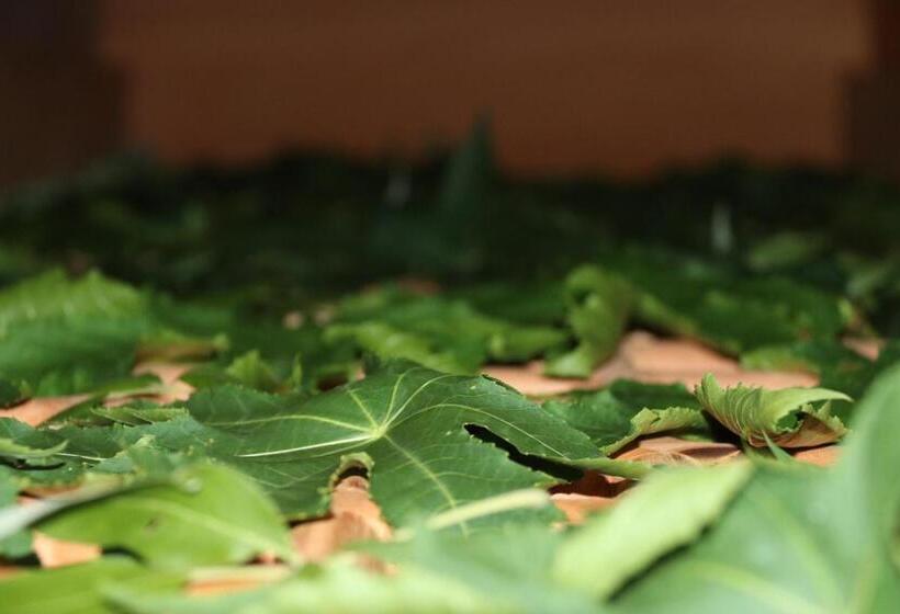 호텔 Dream S Tree Ayurveda Villa Ahungalla