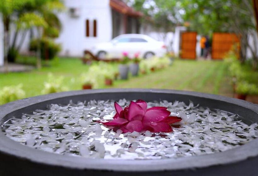 호텔 Dream S Tree Ayurveda Villa Ahungalla