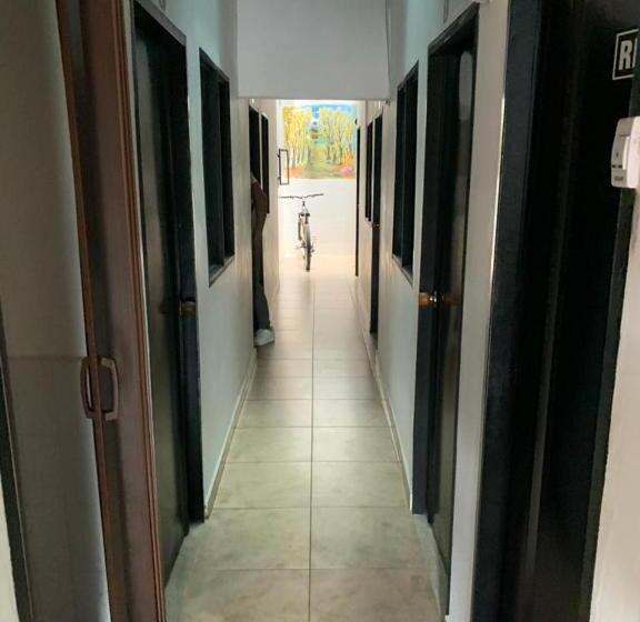 Отель Hostal Monarca