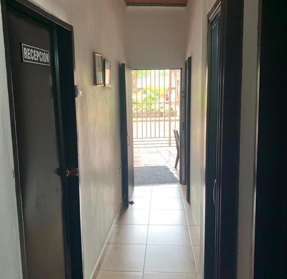 Отель Hostal Monarca