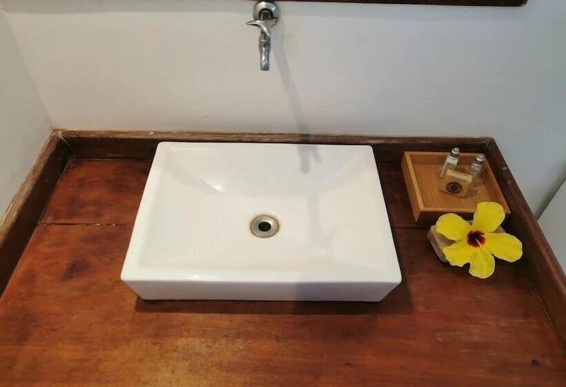 Le Jardin D éole   Hotel Pontal De Maceio