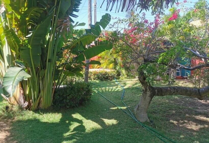 Le Jardin D éole   Hotel Pontal De Maceio