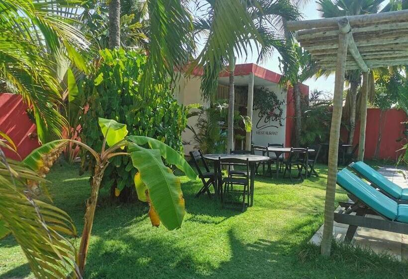 Le Jardin D éole   Hotel Pontal De Maceio