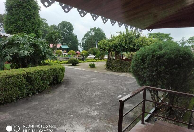 هتل Pine View Homestay