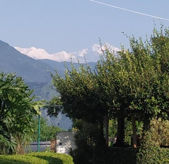 هتل Pine View Homestay