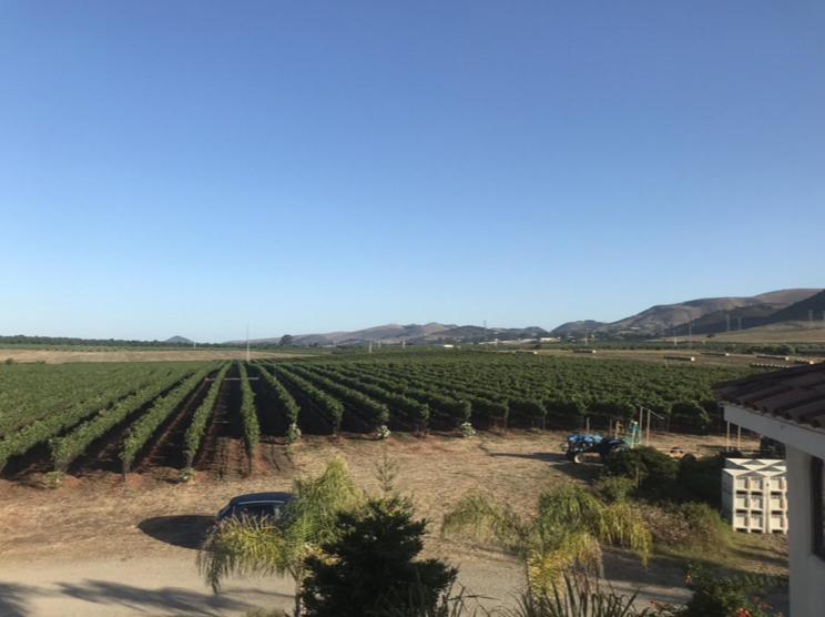 酒店 Spanish Tower And Billiard Room