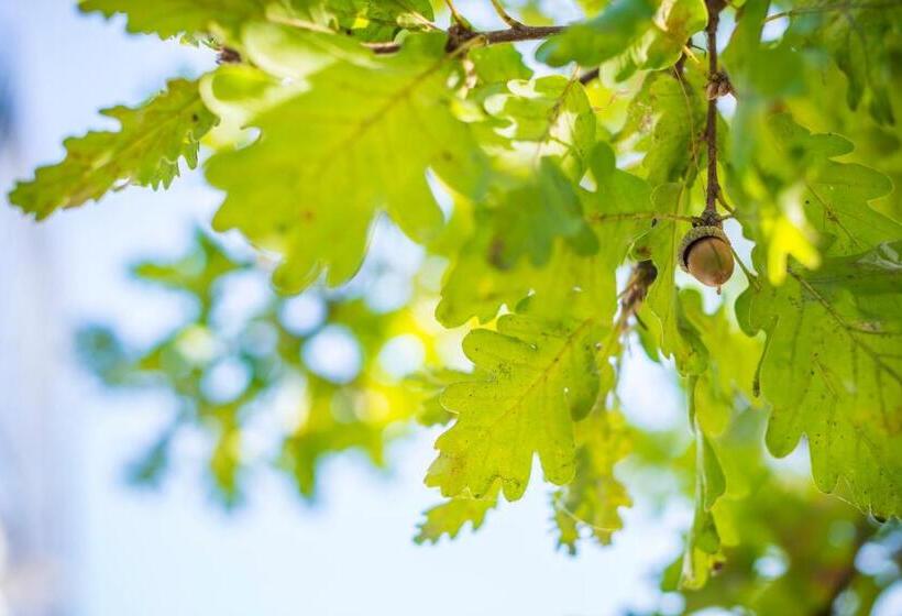 La Magnanella   Luxury B&b