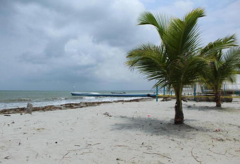 פנסיון Afro Hostel