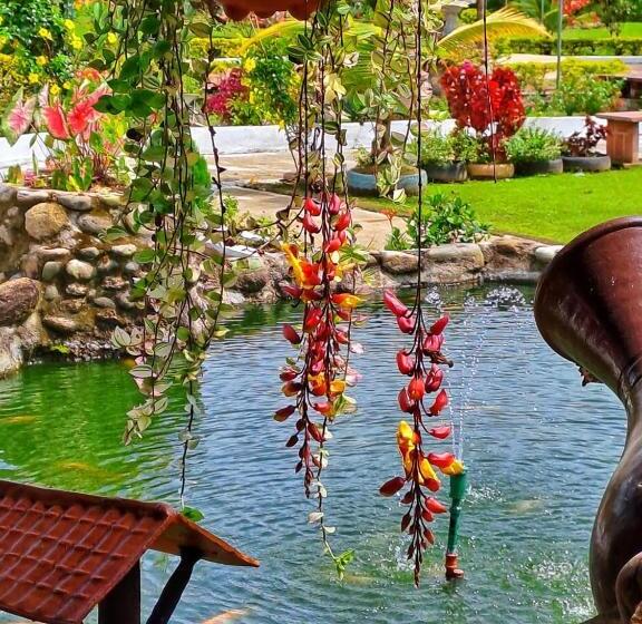 Пансион Hostería Las Palmas