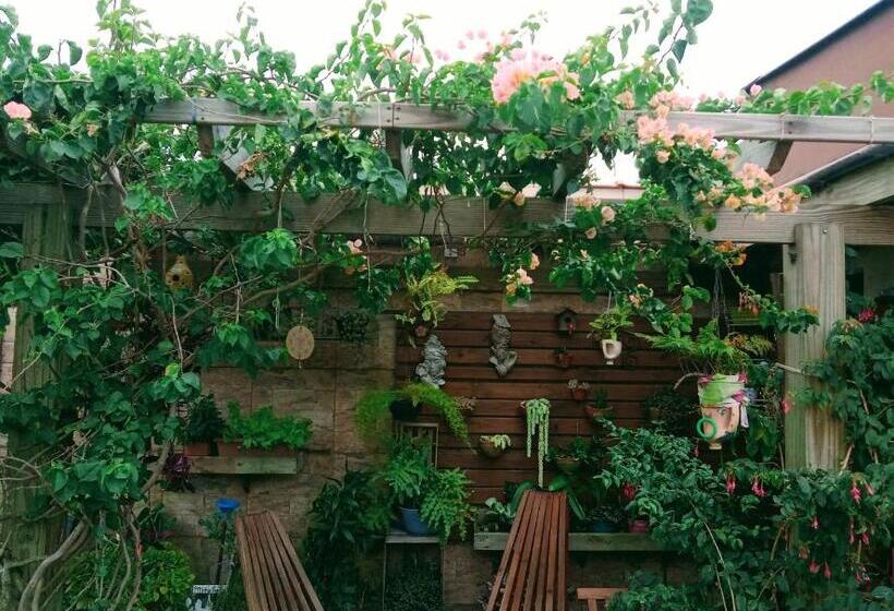 פנסיון Kitnet Da Elô