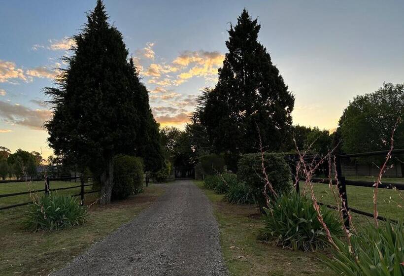 ペンション Serenity Stay