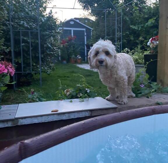 펜션 Studio With A Hot Tub And Garden