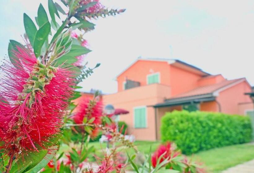 Residence With Swimming Pool In Mazzanta Just 600 Meters From The Beach