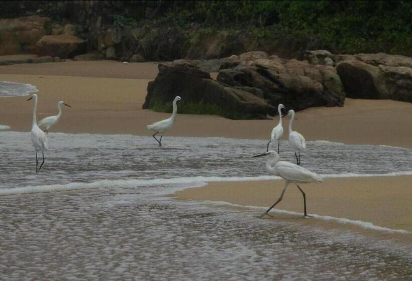 リゾートホテル Karikkathi Beach House