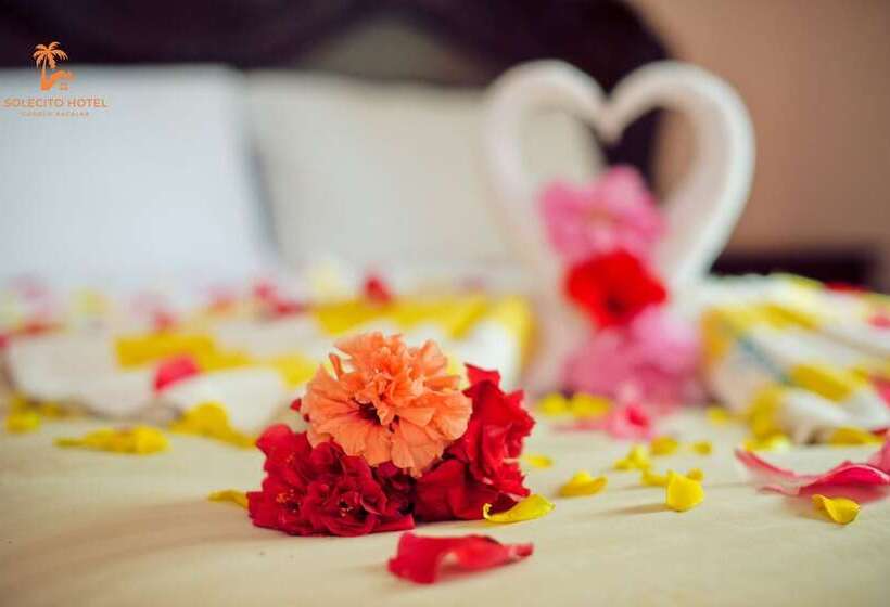 Solecito Hotel Garden Bacalar   Bicicletas Gratis