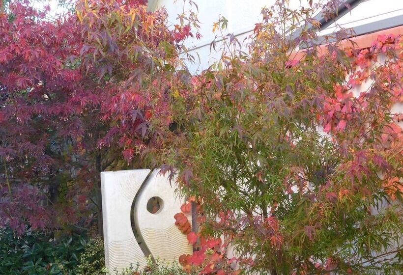 A Colourcity Apartments