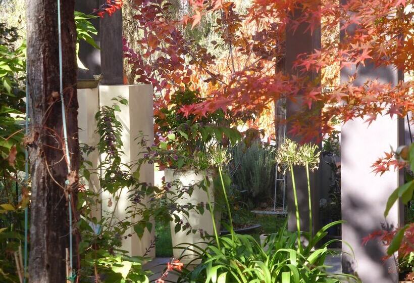 A Colourcity Apartments