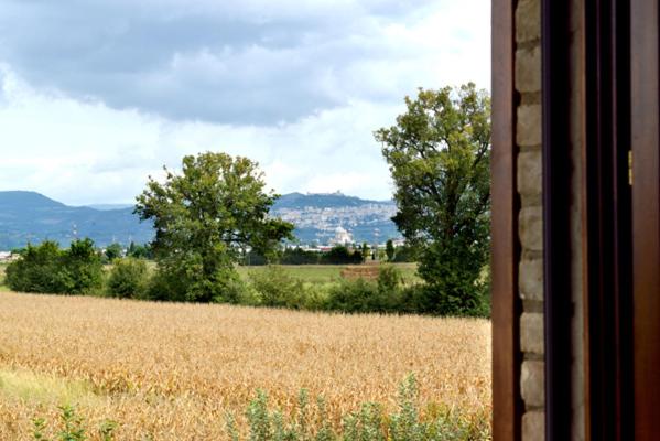 Agriturismo Bellarosa